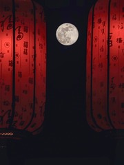 IMG_20250212_183039 拷贝