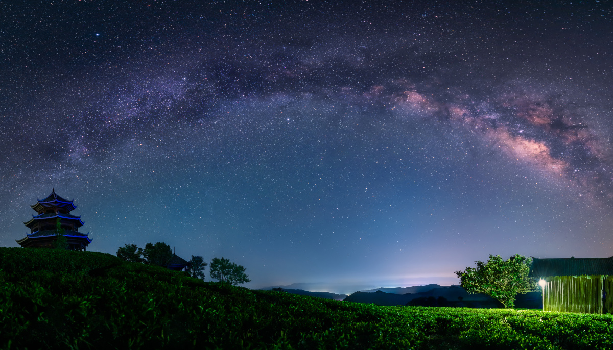 茶园星空