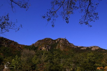 大孤山