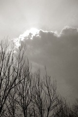 IMG_7589 副本