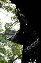 雨帘