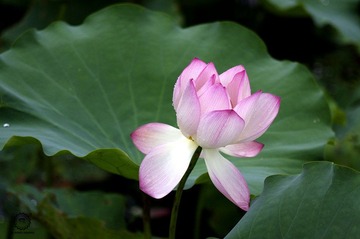 _IGP4284 副本