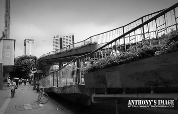 DSCN0196 