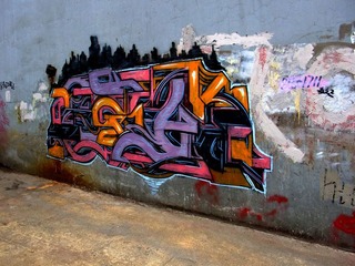 DSCF1520