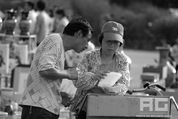 _IGP8239