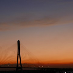 3607043