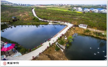 DJI_0037