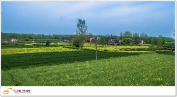 DJI_0067