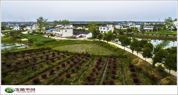 DJI_0072