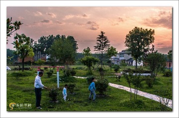 DJI_0207
