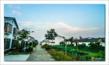 DJI_0226