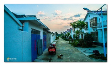 DJI_0233