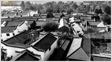 DJI_0124