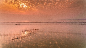 DJI_0311