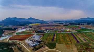 DJI_0926