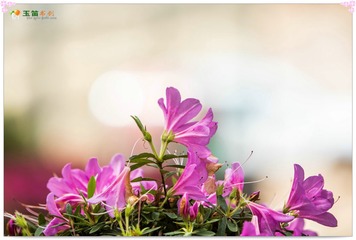200