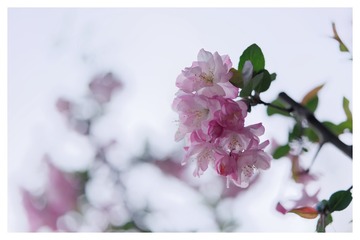 DSC04962_DxO