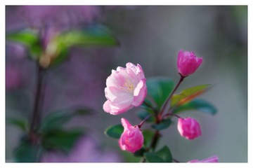 DSC04967_DxO