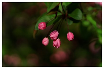 DSC04947_DxO