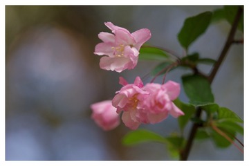 DSC04951_DxO