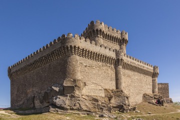 31