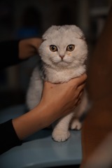 57216