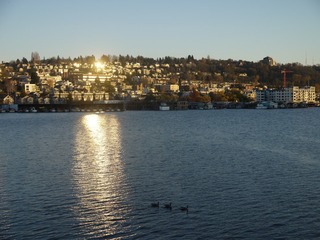 P1070369
