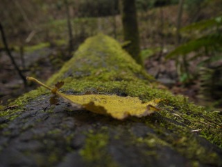 P1070470