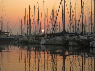IMG_0081-1