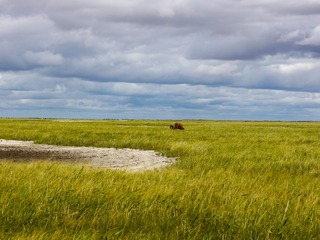P1040722