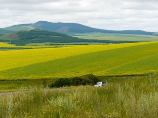 P1040791