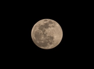 130543