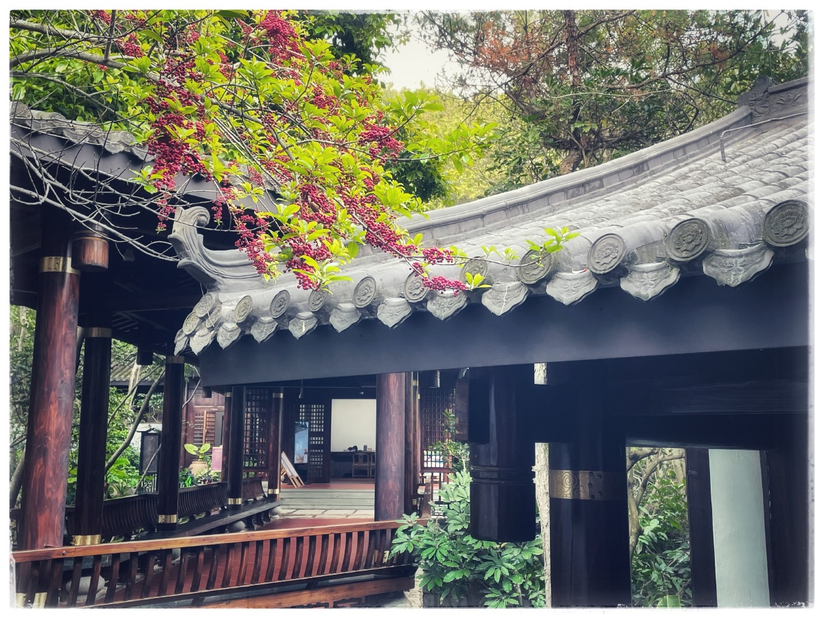 聚龙小镇龙谷山房