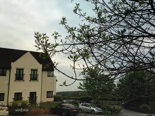 img_0322-web