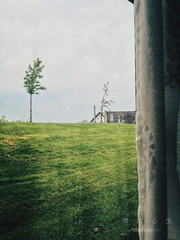 img_0296-web