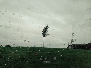 img_0308-web