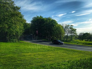 xinfoto-20160511-web02