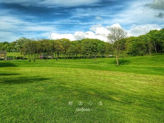 xinfoto-20160511-web08