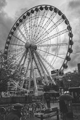 xinfoto-20160617-05
