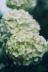 4A7FC724-3D2F-4922-B3B3-64AD18448E4E/L0/001