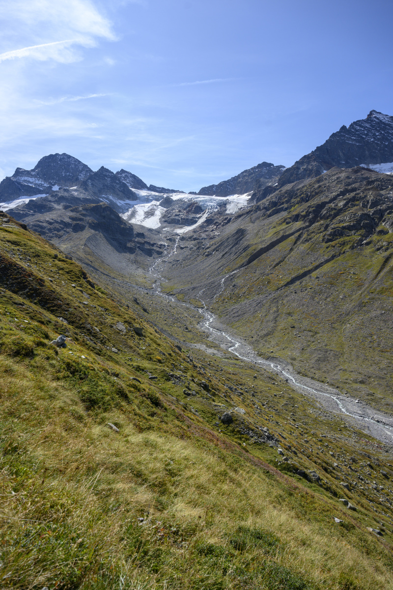 你是我心中的棉花糖