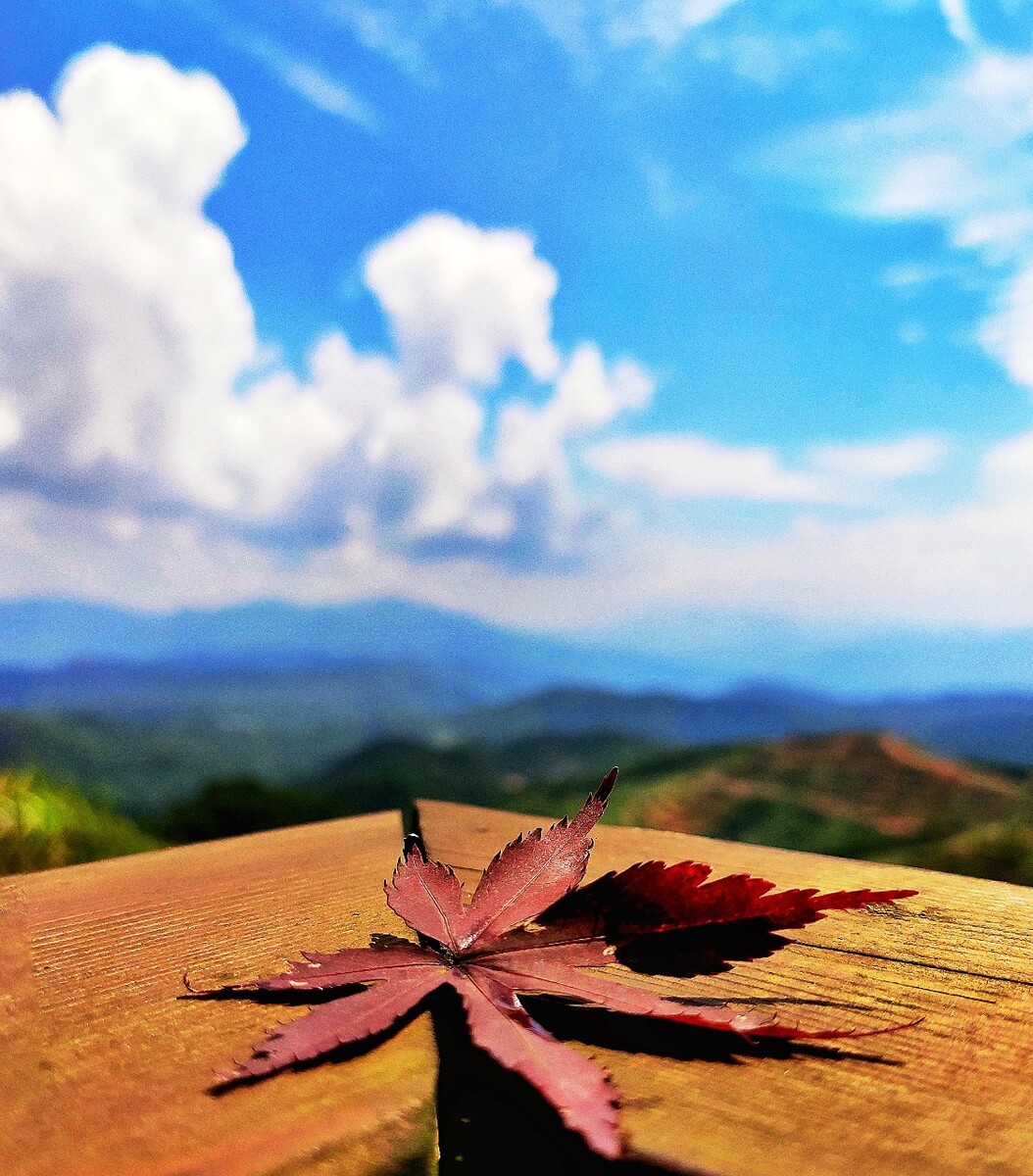 随拍，手机后期。