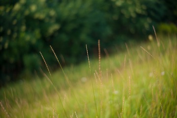 _DSC1240