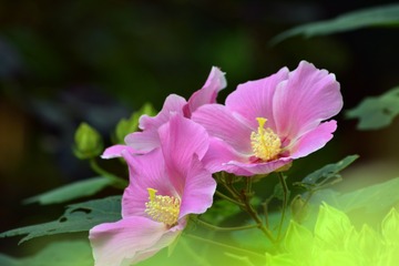 001