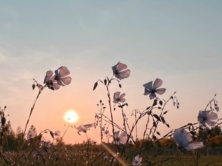 39F69FCA-F883-4D7A-AF42-6BE7E5E0BC97/L0/001