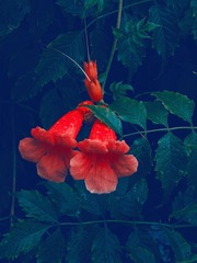 A664C43A-A6B9-46A0-8A49-C50551673E71/L0/001