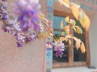 969B4E7F-4C43-45BE-8CF8-E40FEE3DB7B0/L0/001