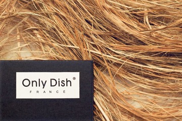 ONLY DISH