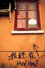 哈！我还在！