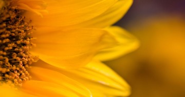 IMG_0821-3